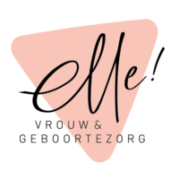 Logo_VG_ZRT (002)
